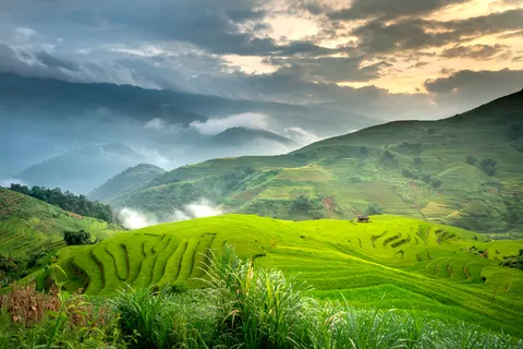 Paddy Terraces 4K Wallpaper · nature · 3840×2561