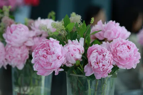 पियोनी 4K वॉलपेपर · flowers · 3840×2560