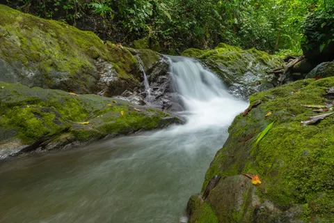 वर्षावन का झरना 4K वॉलपेपर · nature · 3840×2560