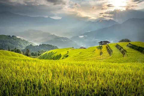 Natuur 4K-achtergrond · nature · 3840×2560