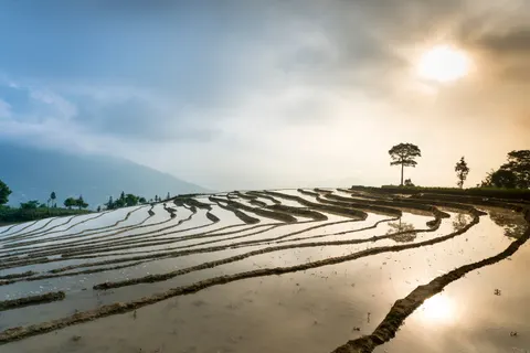 Tapeta Natura 4K · nature · 3840×2561