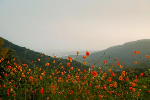 Doğa 4K Duvar Kağıdı · nature · 3840×2560