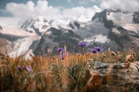 Papel de parede Natureza 4K · nature · 3840×2560
