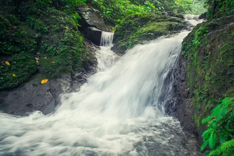 Rainforest Waterfall 4K Wallpaper · nature · 3840×2560