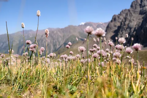 Sfondo Natura 4K · nature · 3840×2560
