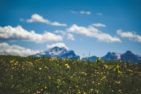 Fond d'écran Nature 4K · nature · 3840×2560
