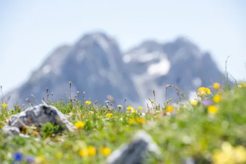 Sfondo Natura 4K · nature · 3840×2560