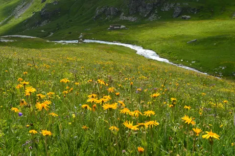Fond d'écran Nature 4K · nature · 3840×2553