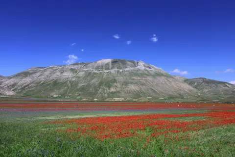 Natur 4K Hintergrundbild · nature · 3840×2560