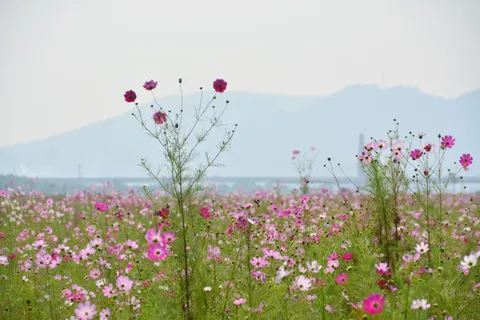 प्रकृति 4K वॉलपेपर · nature · 3840×2560