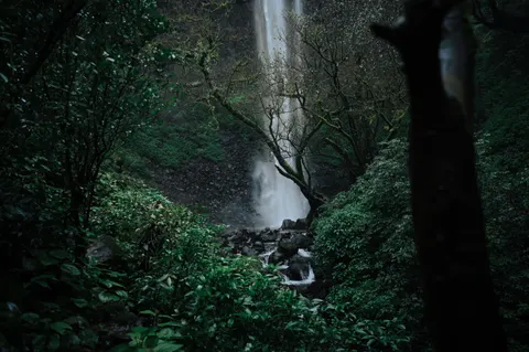 Rainforest Waterfall 4K Wallpaper · nature · 3840×2555