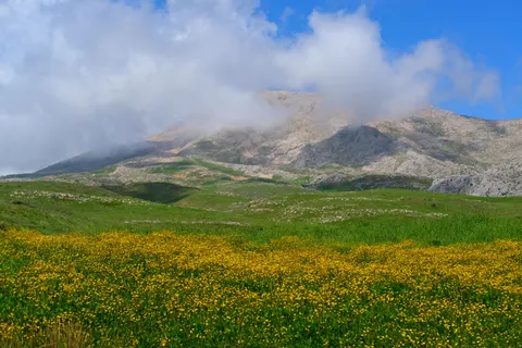 Обои Природа 4K · nature · 3840×2560