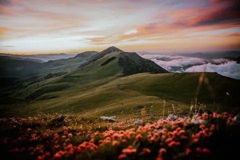 Tapeta Natura 4K · nature · 3840×2560