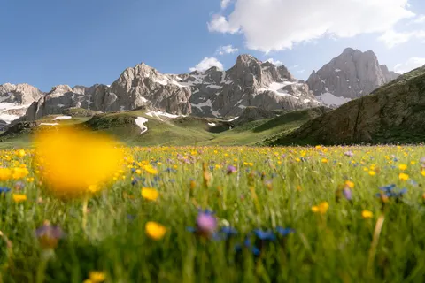 Sfondo Natura 4K · nature · 3840×2560