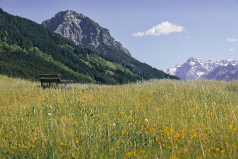 प्रकृति 4K वॉलपेपर · nature · 3840×2560