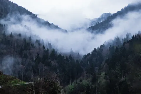 Foggy Valley 4K Wallpaper · mountains · 3840×2560