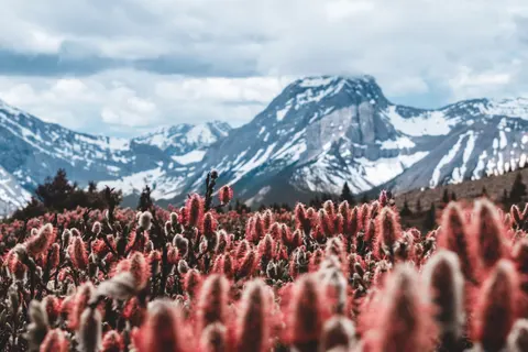 Sfondo Natura 4K · nature · 3840×2560