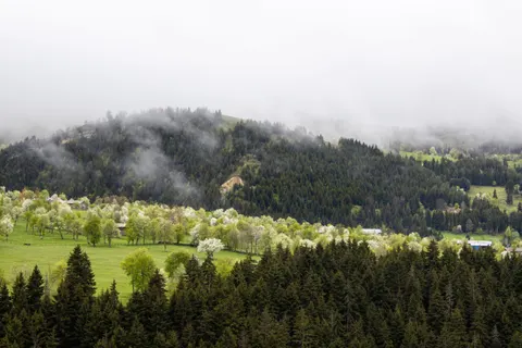 Foggy Valley 4K Wallpaper · mountains · 3840×2560