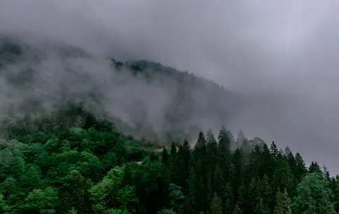 Foggy Valley 4K Wallpaper · mountains · 3840×2430