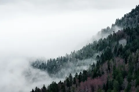 Foggy Valley 4K Wallpaper · mountains · 3840×2560