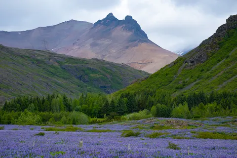 प्रकृति 4K वॉलपेपर · nature · 3840×2560