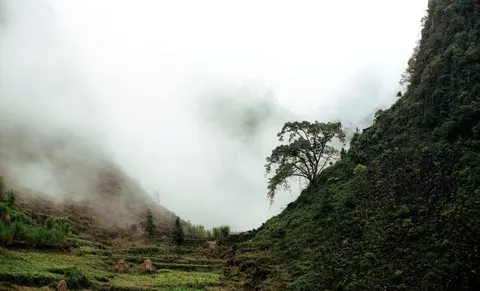 Foggy Valley 4K Wallpaper · mountains · 3840×2329