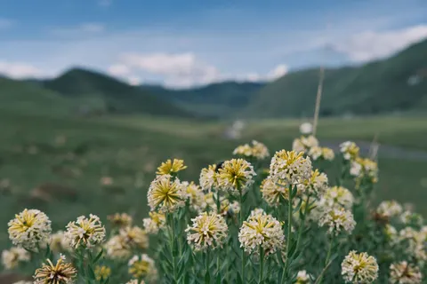 自然 4K桌布 · nature · 3840×2560