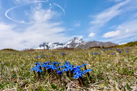 Natur 4K Hintergrundbild · nature · 3840×2561