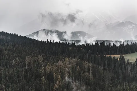 Foggy Valley 4K Wallpaper · mountains · 3840×2560
