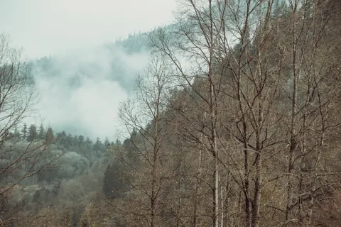 Foggy Valley 4K Wallpaper · mountains · 3840×2560