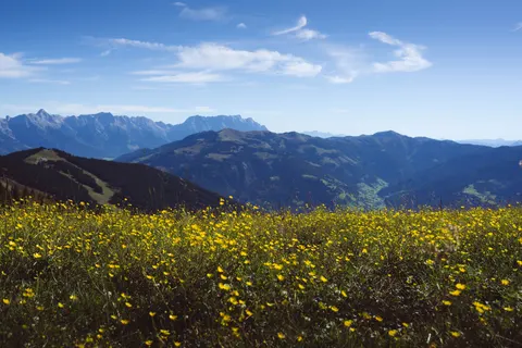 自然 4K壁紙 · nature · 3840×2560