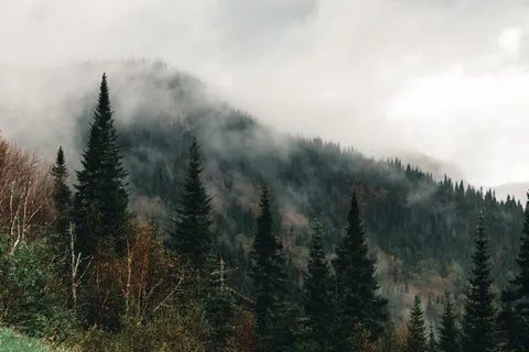 Foggy Valley 4K Wallpaper · mountains · 3840×2560