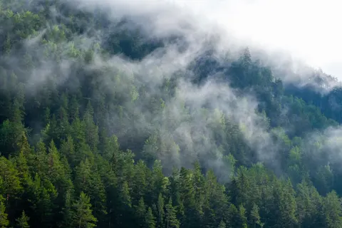 Foggy Valley 4K Wallpaper · mountains · 3840×2560