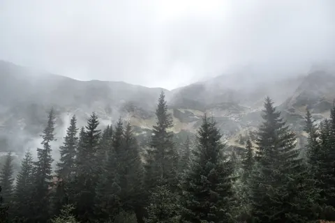 Foggy Valley 4K Wallpaper · mountains · 3840×2560