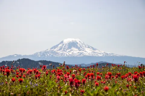 Fondo de pantalla Naturaleza 4K · nature · 3840×2560