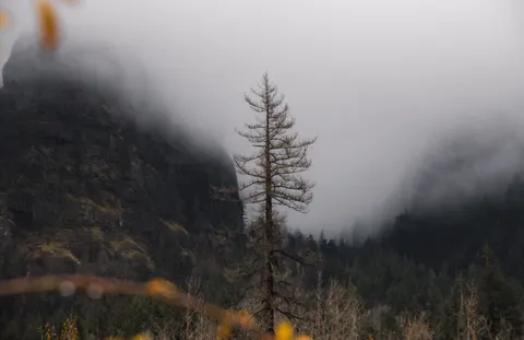 Foggy Valley 4K Wallpaper · mountains · 3840×2485