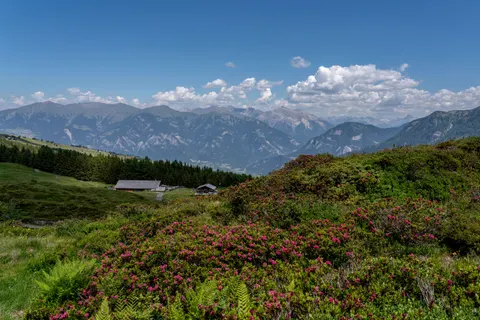 Fond d'écran Nature 4K · nature · 3840×2561