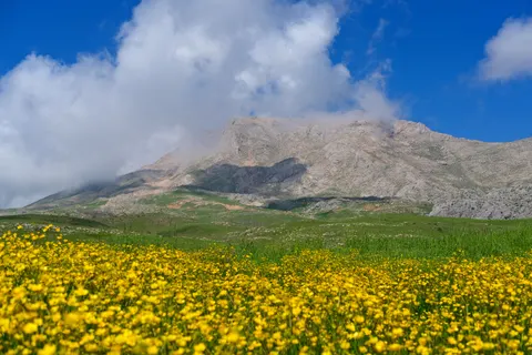 Natur 4K Hintergrundbild · nature · 3840×2560