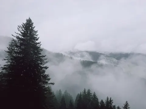 Foggy Valley 4K Wallpaper · mountains · 3840×2880