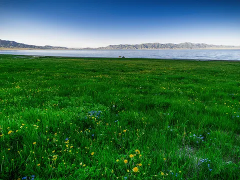 Papel de parede Natureza 4K · nature · 3840×2880