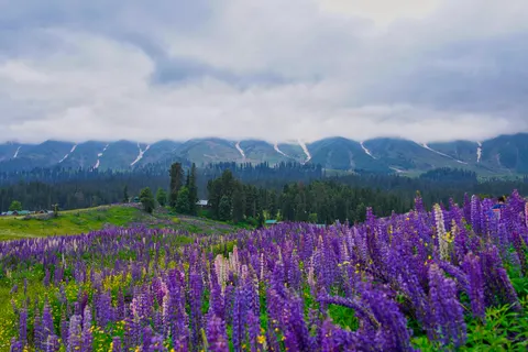 Обои Природа 4K · nature · 3840×2560