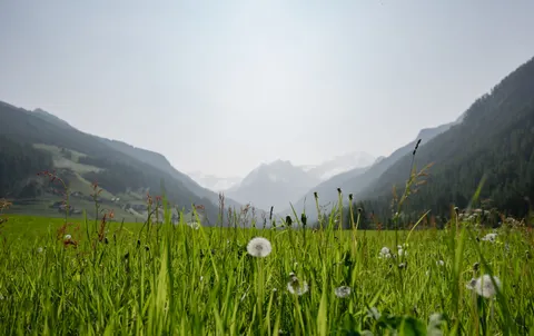 自然 4K桌布 · nature · 3840×2413