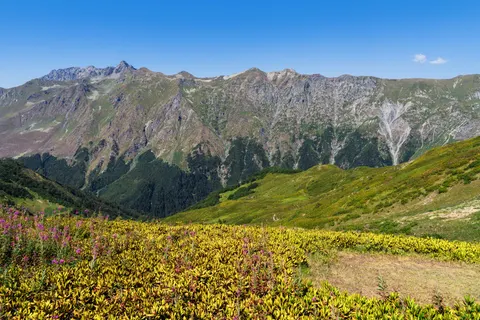 自然 4K桌布 · nature · 3840×2560