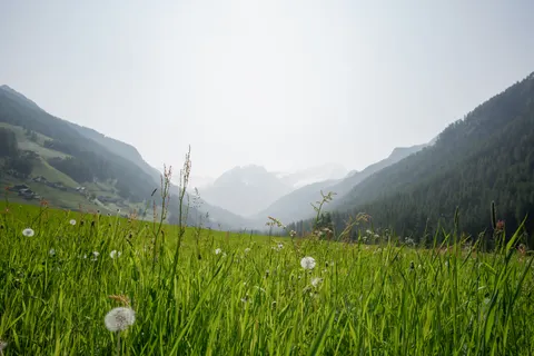 والپیپر طبیعت با کیفیت 4K · nature · 3840×2560