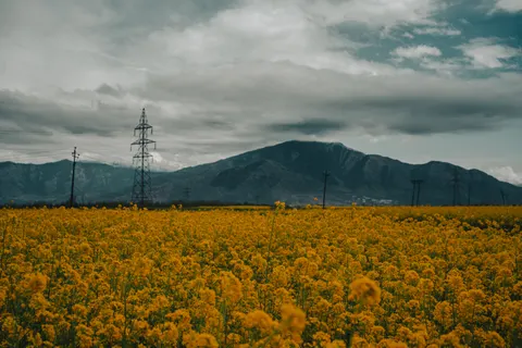 والپیپر طبیعت با کیفیت 4K · nature · 3840×2560