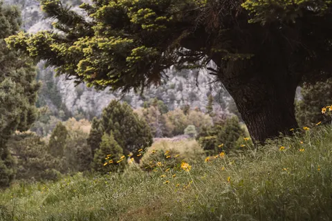 Fond d'écran Nature 4K · nature · 3840×2561