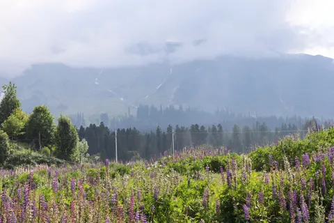Hình nền Thiên nhiên 4K · nature · 3840×2560