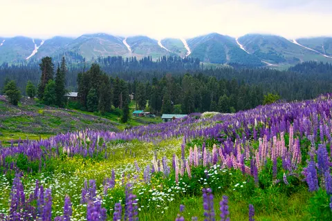 自然 4K桌布 · nature · 3840×2560