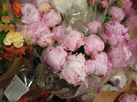 Fondo de pantalla Peonía 4K · flowers · 3840×2882