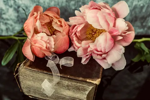Wallpaper Bunga Peoni 4K · flowers · 3840×2576
